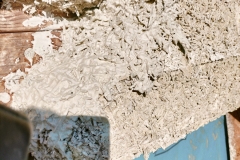 IMG20241106130857