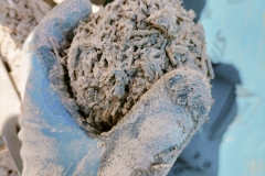 IMG20241106131612
