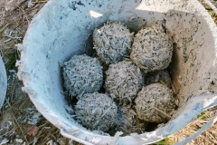 IMG20241106131933