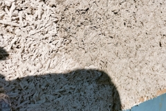 IMG20241106133432